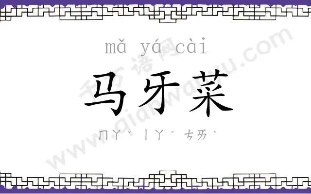 马牙菜 马牙菜