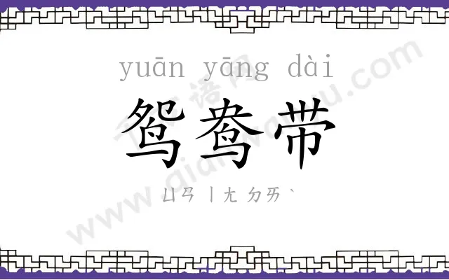 鸳鸯带 鸳鸯带