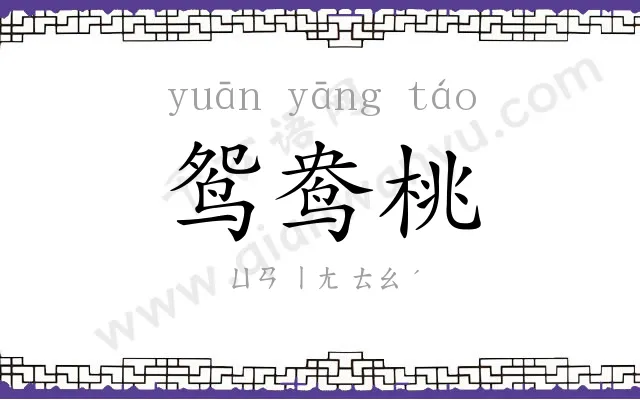 鸳鸯桃 鸳鸯桃