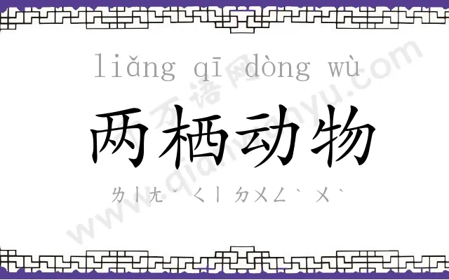 两栖动物 两栖动物