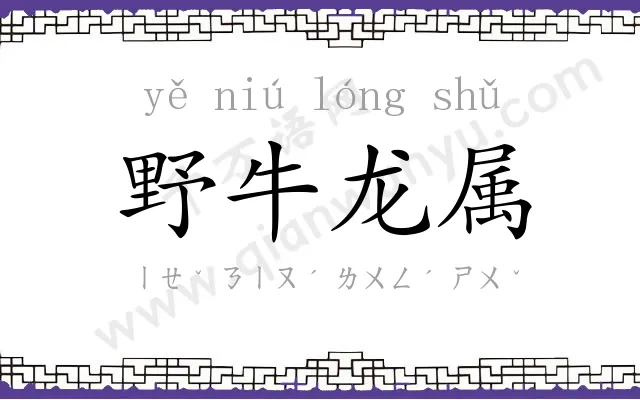 野牛龙属 野牛龙属