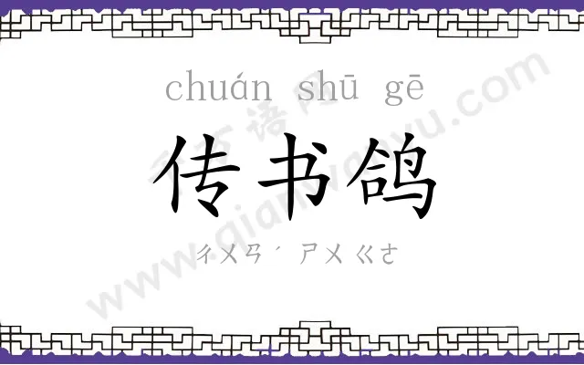 传书鸽 传书鸽