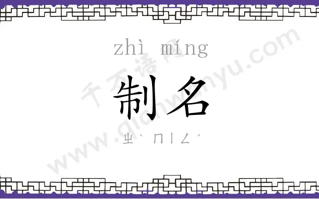 制名
