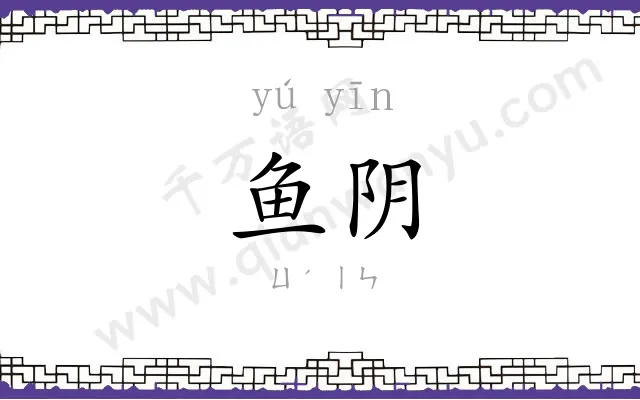 鱼阴
