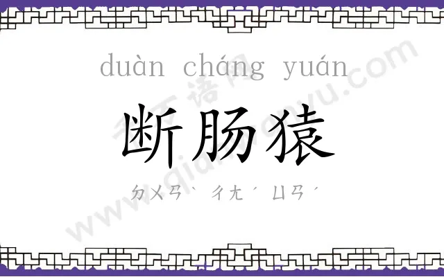 断肠猿 断肠猿