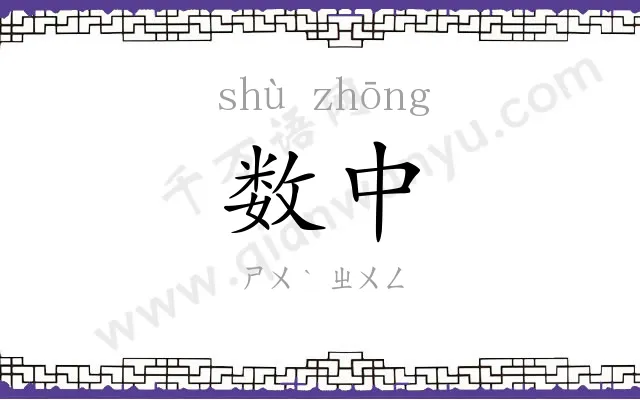 数中