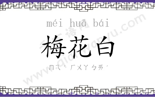 梅花白 梅花白