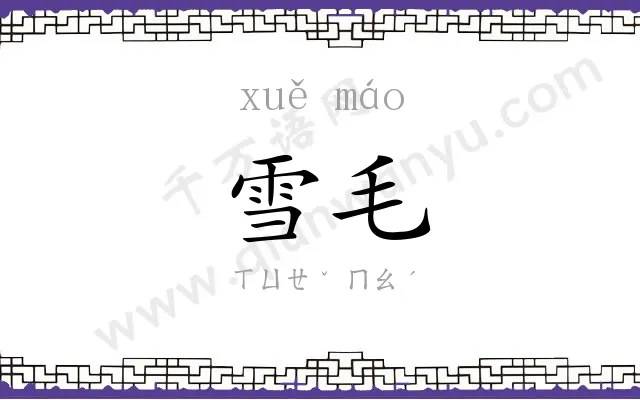 雪毛