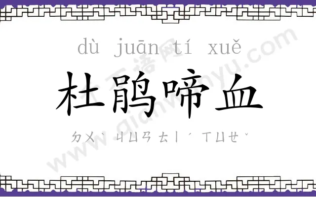 杜鹃啼血 杜鹃啼血