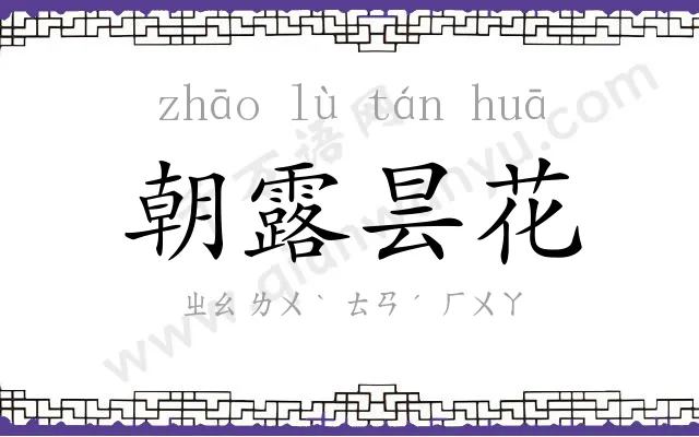 朝露昙花 朝露昙花