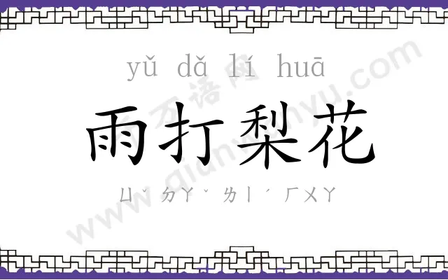 雨打梨花 雨打梨花