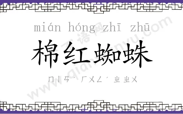 棉红蜘蛛 棉红蜘蛛