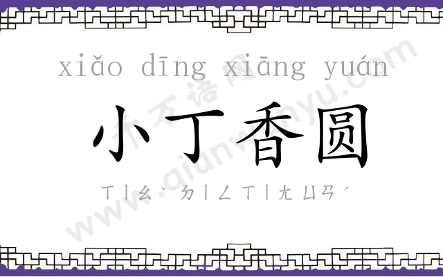 小丁香圆 小丁香圆