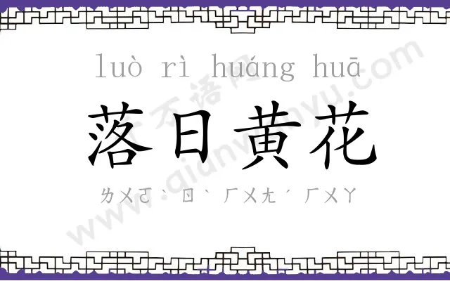 落日黄花 落日黄花