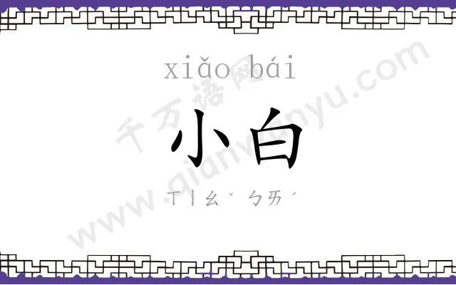 小白