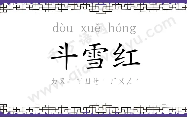 斗雪红