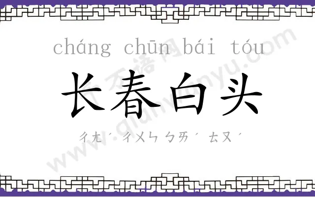 长春白头 长春白头
