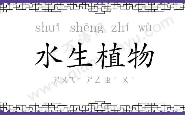 水生植物