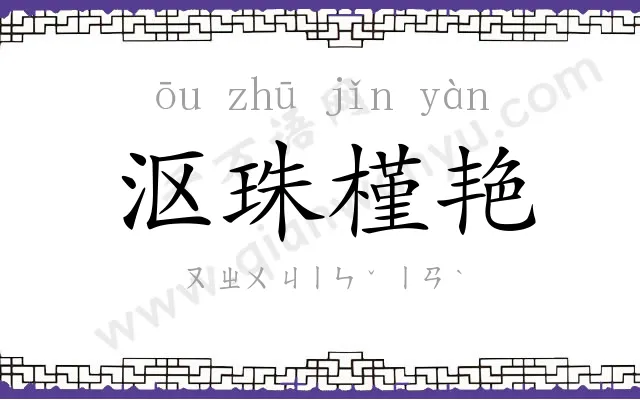 沤珠槿艳 沤珠槿艳