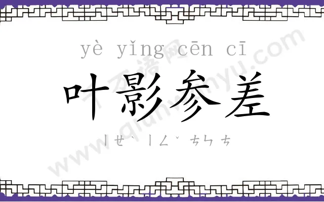 叶影参差 叶影参差