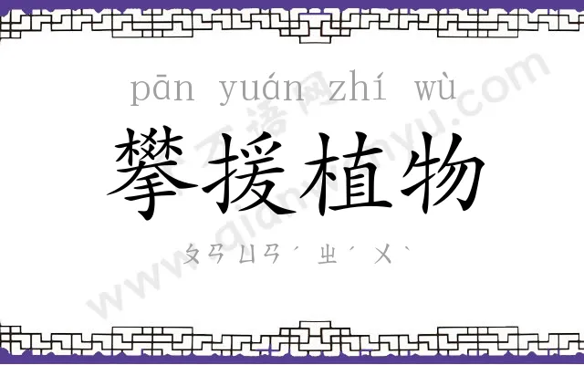 攀援植物 攀援植物