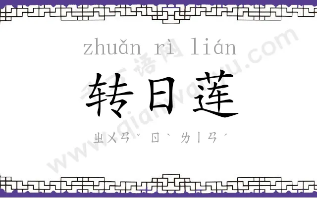 转日莲 转日莲