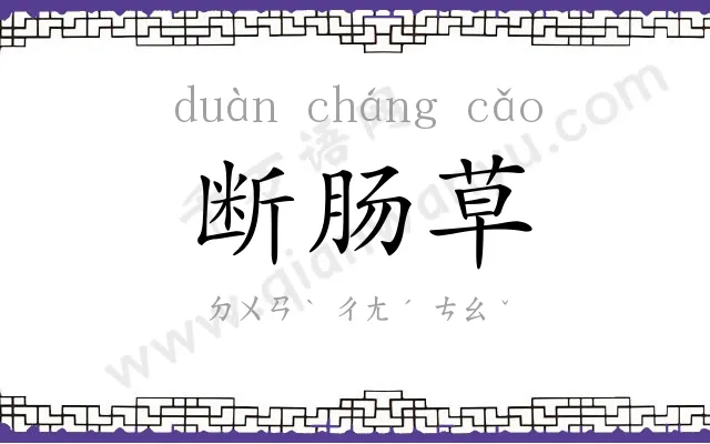 断肠草 断肠草