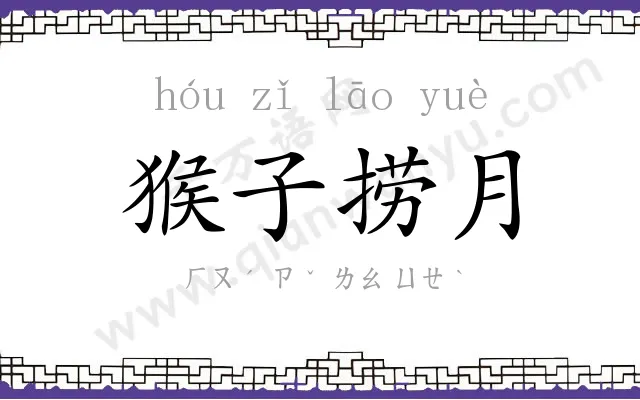 猴子捞月 猴子捞月