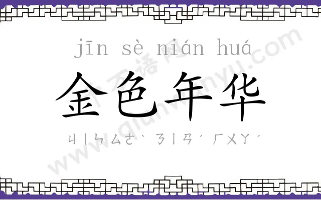 金色年华 金色年华