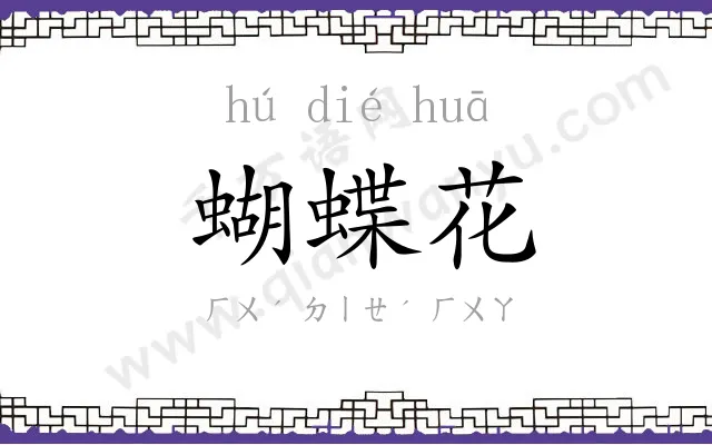 蝴蝶花 蝴蝶花