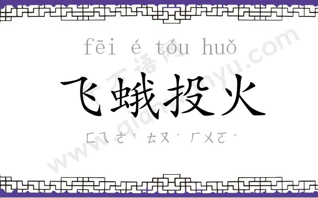 飞蛾投火 飞蛾投火