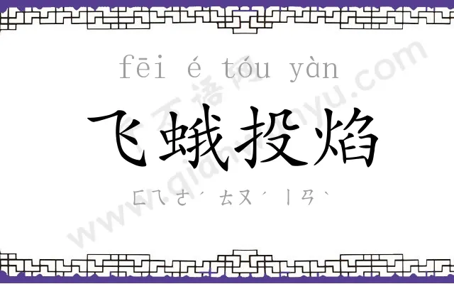 飞蛾投焰 飞蛾投焰