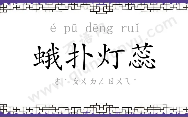 蛾扑灯蕊 蛾扑灯蕊