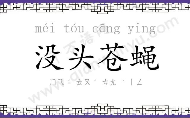 没头苍蝇 没头苍蝇