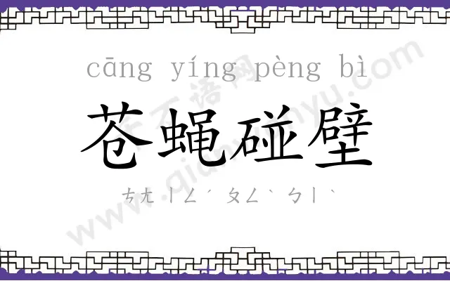 苍蝇碰壁 苍蝇碰壁