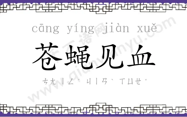 苍蝇见血 苍蝇见血