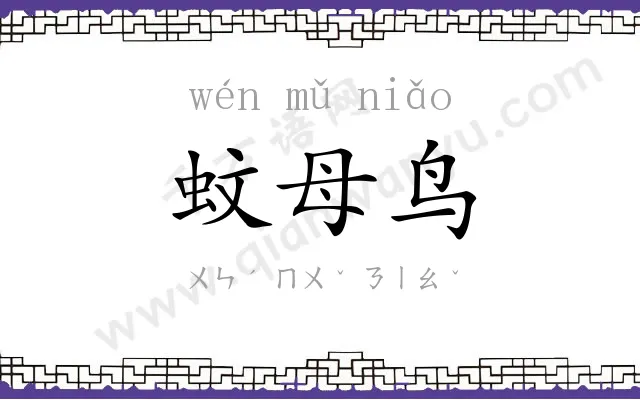 蚊母鸟 蚊母鸟