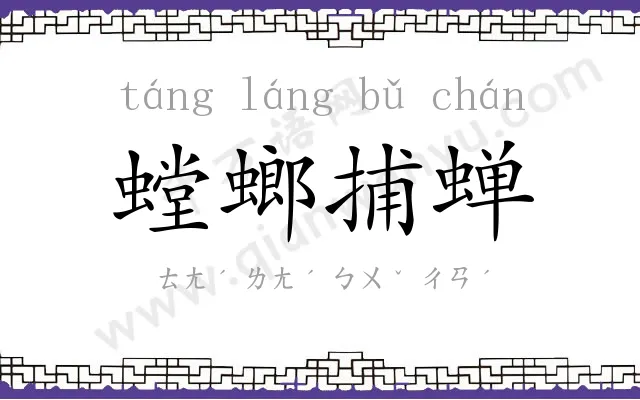 螳螂捕蝉 螳螂捕蝉