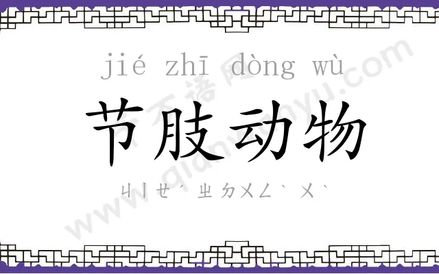 节肢动物 节肢动物