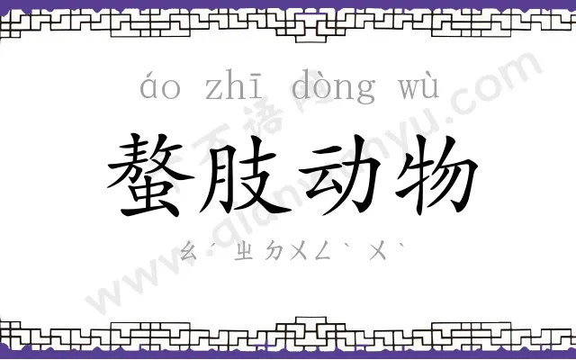 螯肢动物 螯肢动物