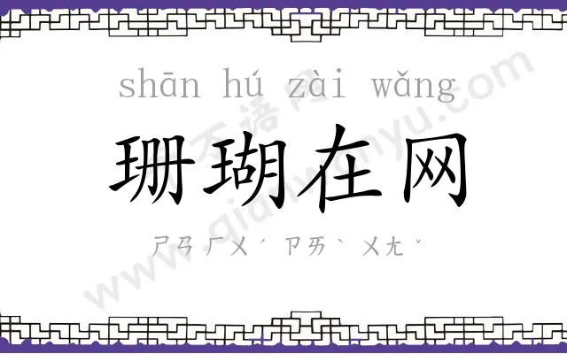 珊瑚在网 珊瑚在网