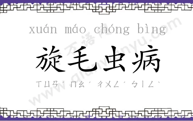 旋毛虫病 旋毛虫病