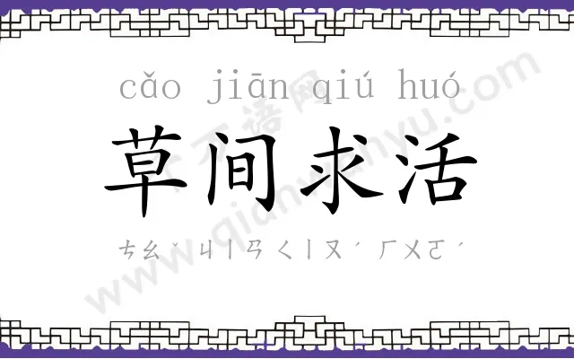 草间求活 草间求活