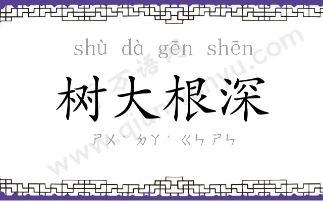 树大根深 树大根深