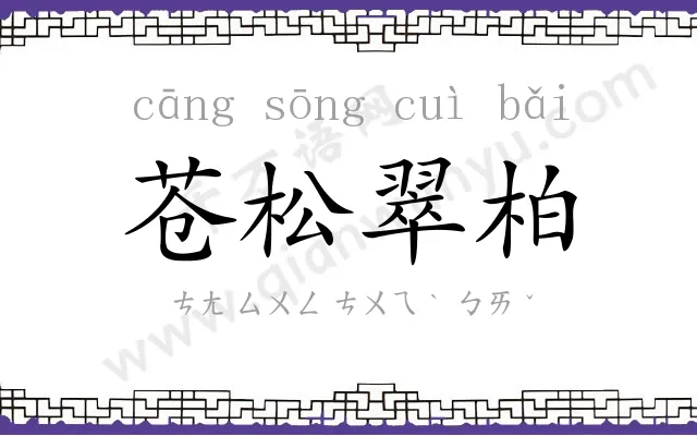 苍松翠柏 苍松翠柏