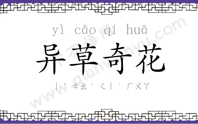 异草奇花 异草奇花