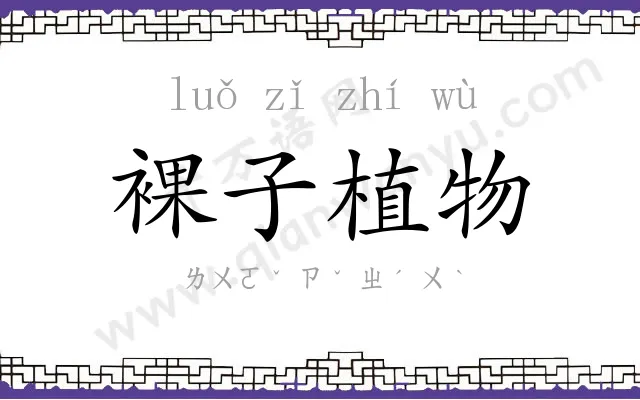 裸子植物 裸子植物