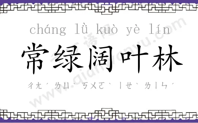 常绿阔叶林 常绿阔叶林