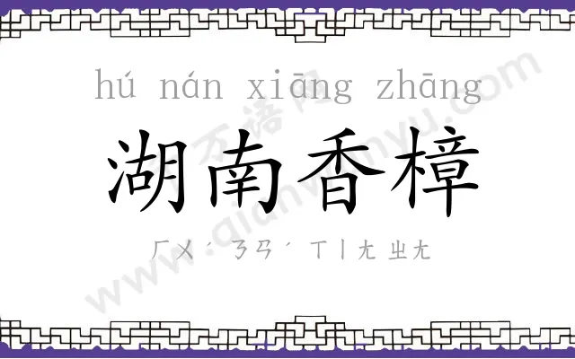 湖南香樟 湖南香樟