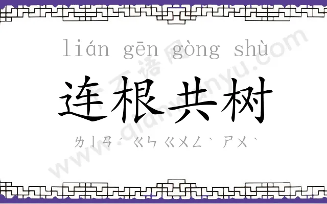 连根共树 连根共树